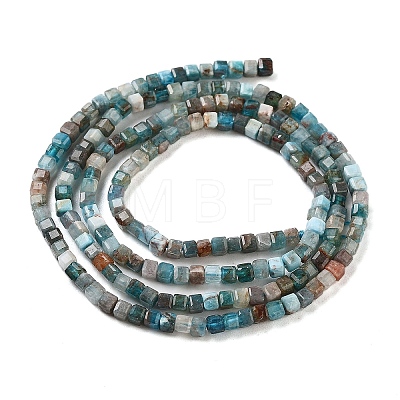 Natural Blue Apatite Beads Strands G-P457-B01-14B-1