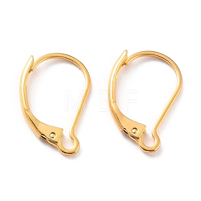304 Stainless Steel Leverback Earring Findings LS-STAS-K233-04G-1