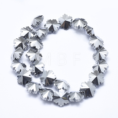 Electroplate Glass Beads Strands EGLA-F134-FP01-1