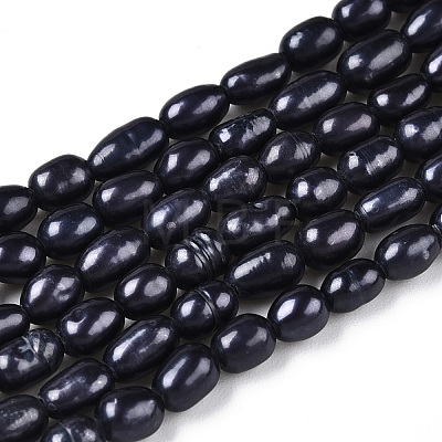 Natural Cultured Freshwater Pearl Beads Strands X-PEAR-S021-240-1