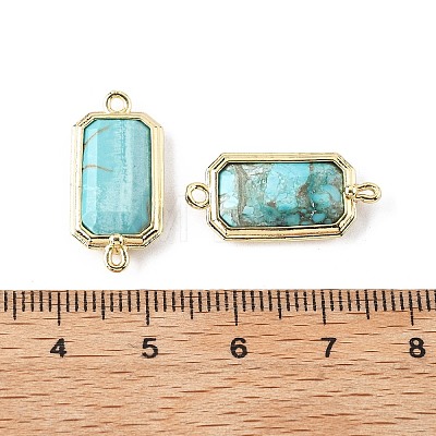 Dyed Natural Howlite Faceted Rectangle Connector Charms G-H323-04G-02-1