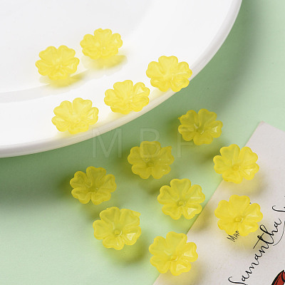 Transparent Frosted Acrylic Bead Caps MACR-S371-04A-717-1