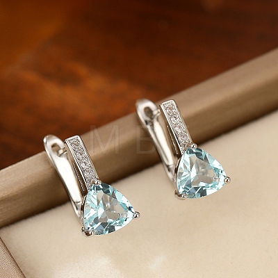 Brass & Cubic Zirconia Hoop Earrings WGC58F4-01-1