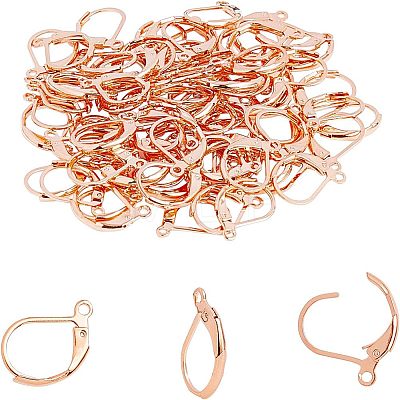 304 Stainless Steel Leverback Earring Findings STAS-UN0001-67RG-1