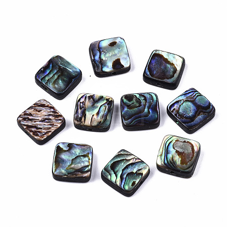 Natural Abalone Shell/Paua Shell Beads SSHEL-T014-12A-1