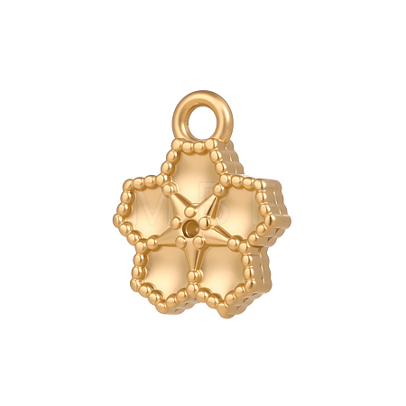 304 Stainless Steel Charms SA-OY001-44G-1
