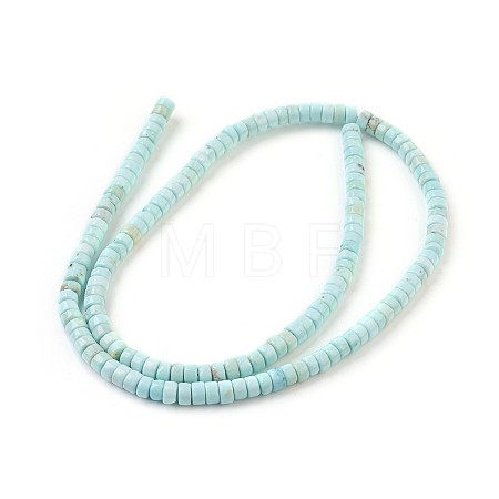 Natural Howlite Beads Strands X-G-P398-F-1