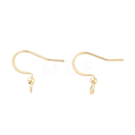 316 Surgical Stainless Steel Earring Hooks X-STAS-K274-10G-1