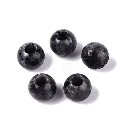 Natural Larvikite European Beads G-Q607-02T-1