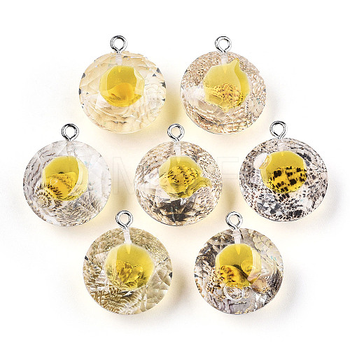 Transparent Epoxy Resin Pendants CRES-N025-11C-1