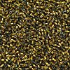 MIYUKI Delica Beads SEED-X0054-DB0604-3