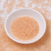 MIYUKI Delica Beads SEED-X0054-DB0821-2