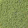 TOHO Round Seed Beads X-SEED-TR11-0946F-2