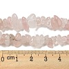 Natural Rose Quartz Chips Beads Strands F007-3-6