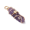 2Pcs 2 Styles Natural Amethyst Double Terminated Pointed Pendants PALLOY-JF03122-01-4