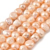 Natural Cultured Freshwater Pearl Beads Strands PEAR-P064-19L-06E-2