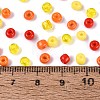 Opaque & Transparent Glass Seed Beads SEED-Q041-06B-4