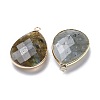 Faceted Natural Labradorite Pendants X-G-M356-B02-LG-3