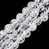 Handmade Lampwork Beads Strands LAMP-N037-07L-1