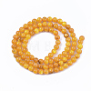 Freshwater Shell Beads Strands SHEL-S276-32-3