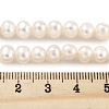 Natural Cultured Freshwater Pearl Beads Strands PEAR-C003-13F-5