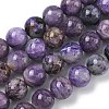 Natural Charoite Beads Strands G-C270-O02-10-2