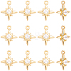 14Pcs Brass Micro Pave Cubic Zirconia Pendants KK-BBC0028-17-7