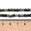 Natural Iolite Beads Strands G-G343-B01-4mm-5