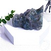 Natural Labradorite Carved Dragon Head Figurines PW-WGCF919-02-1