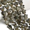 Natural Gray Labradorite Beads Strands G-L657-A02-01-1
