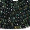 Natural Moss Agate Beads Strands G-Z111-A54-4