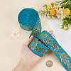 Flat Ethnic Style Embroidery Polyester Ribbons OCOR-WH0067-86B-3