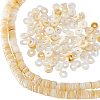  2 Strands Shell Beads Strands SSHEL-NB0001-29-1