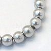 Baking Painted Pearlized Glass Pearl Round Bead Strands HY-Q003-10mm-34-2