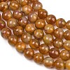 Handmade Lampwork Beads Strand LAMP-B056-10mm-05-4
