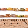 Handmade Lampwork Beads X-LAMP-B051-02B-4