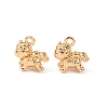 Brass Pendants KK-T082-13G-1