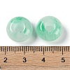 Two Tone Resin European Beads RESI-F055-09H-3