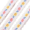Polyester Lace Ribbon FB-CBA2A5D-01B-1