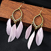 Alloy Horse Eye with Feather Dangle Earrings FS-WGC7A14-02-1