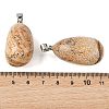 Natural Picture Jasper Tumbled Stone Pendants GG-K002-06F-3