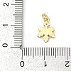 Brass Micro Pave Cubic Zirconia with Enamel Charms KK-G526-08G-3