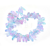 Electroplated Natural Quartz Crystal Beads Strands G-P368-06D-2