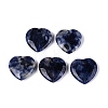 Natural Sodalite Pendants G-Q601-29B-1