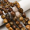 Natural Pietersite Beads Strands G-A286-A01-04-1