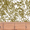 MIYUKI Delica Beads SEED-X0054-DB2141-4