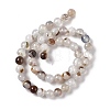 Natural Agate Beads Strands X-G-C011-01B-3