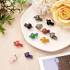 12 Pieces Gemstone Mushroom Charm Pendant Crystal Mushroom Natural Stone Pendants Mixed Color for Jewelry Necklace Earring Making Crafts JX550A-2