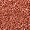 MIYUKI Round Rocailles Beads SEED-G007-RR0553-3