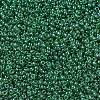 MIYUKI Round Rocailles Beads SEED-G007-RR0173-1